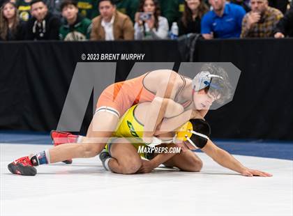Thumbnail 1 in CHSAA State Championship - 4A Finals photogallery.
