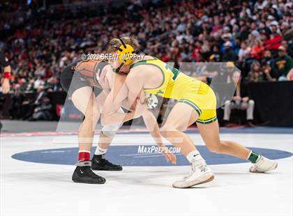 Thumbnail 2 in CHSAA State Championship - 4A Finals photogallery.