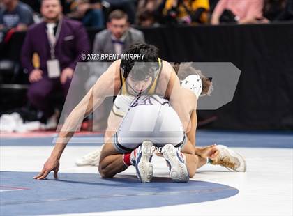 Thumbnail 3 in CHSAA State Championship - 4A Finals photogallery.