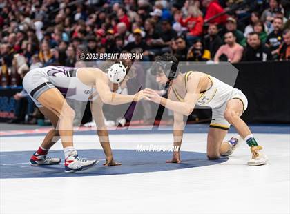 Thumbnail 1 in CHSAA State Championship - 4A Finals photogallery.