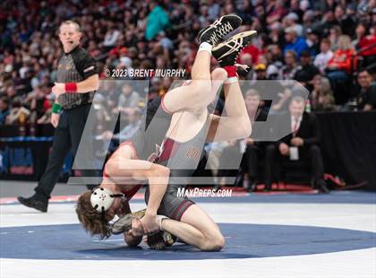 Thumbnail 3 in CHSAA State Championship - 4A Finals photogallery.