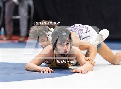 Thumbnail 2 in CHSAA State Championship - 4A Finals photogallery.