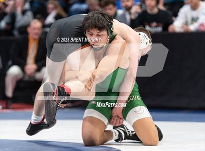 Thumbnail 2 in CHSAA State Championship - 4A Finals photogallery.