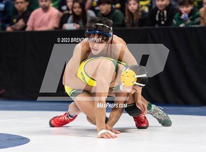 Thumbnail 2 in CHSAA State Championship - 4A Finals photogallery.