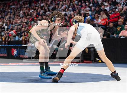 Thumbnail 3 in CHSAA State Championship - 4A Finals photogallery.