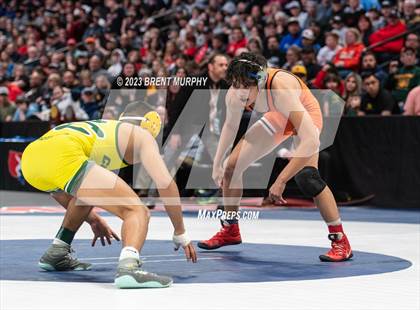 Thumbnail 1 in CHSAA State Championship - 4A Finals photogallery.