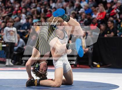 Thumbnail 2 in CHSAA State Championship - 4A Finals photogallery.