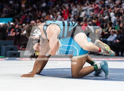 Thumbnail 1 in CHSAA State Championship - 4A Finals photogallery.
