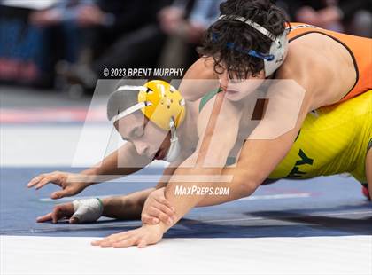 Thumbnail 1 in CHSAA State Championship - 4A Finals photogallery.