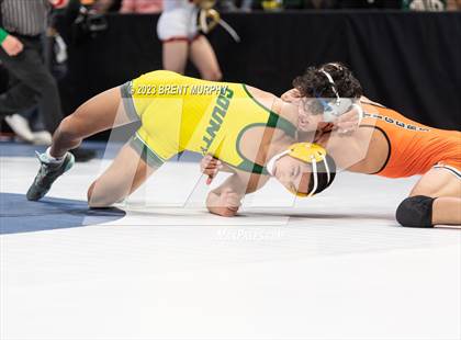 Thumbnail 3 in CHSAA State Championship - 4A Finals photogallery.