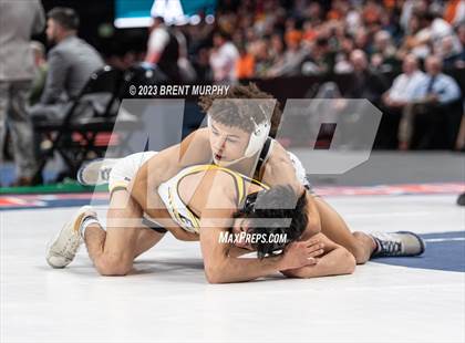 Thumbnail 1 in CHSAA State Championship - 4A Finals photogallery.