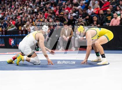 Thumbnail 2 in CHSAA State Championship - 4A Finals photogallery.