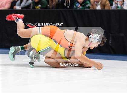 Thumbnail 1 in CHSAA State Championship - 4A Finals photogallery.