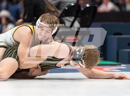 Thumbnail 3 in CHSAA State Championship - 4A Finals photogallery.