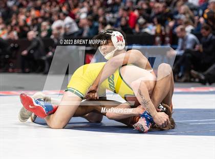 Thumbnail 2 in CHSAA State Championship - 4A Finals photogallery.