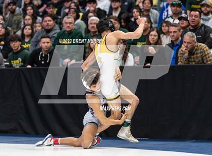Thumbnail 1 in CHSAA State Championship - 4A Finals photogallery.