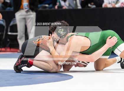 Thumbnail 2 in CHSAA State Championship - 4A Finals photogallery.