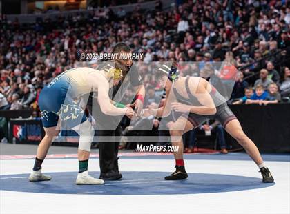 Thumbnail 1 in CHSAA State Championship - 4A Finals photogallery.