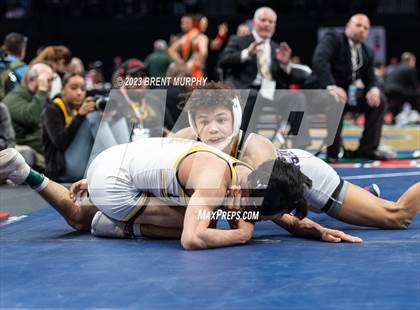 Thumbnail 2 in CHSAA State Championship - 4A Finals photogallery.