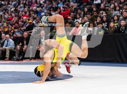 Thumbnail 1 in CHSAA State Championship - 4A Finals photogallery.