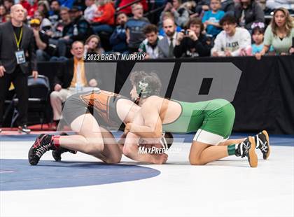 Thumbnail 3 in CHSAA State Championship - 4A Finals photogallery.