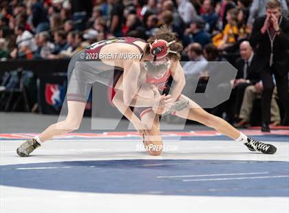 Thumbnail 3 in CHSAA State Championship - 4A Finals photogallery.
