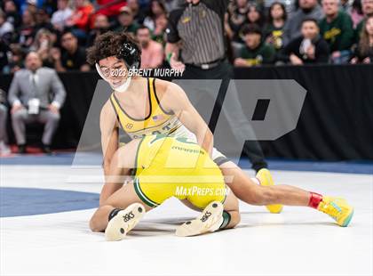 Thumbnail 1 in CHSAA State Championship - 4A Finals photogallery.