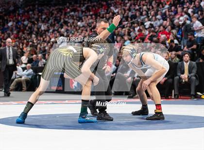 Thumbnail 1 in CHSAA State Championship - 4A Finals photogallery.