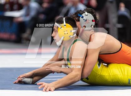 Thumbnail 3 in CHSAA State Championship - 4A Finals photogallery.