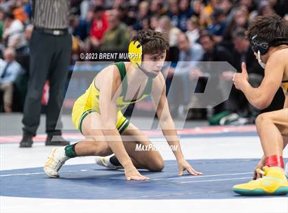 Thumbnail 2 in CHSAA State Championship - 4A Finals photogallery.