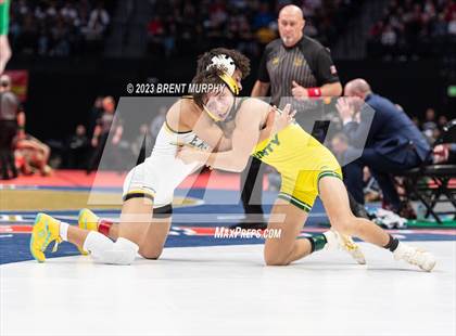 Thumbnail 2 in CHSAA State Championship - 4A Finals photogallery.