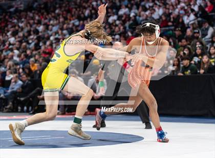 Thumbnail 1 in CHSAA State Championship - 4A Finals photogallery.
