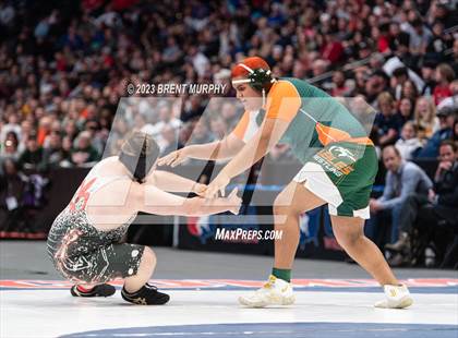 Thumbnail 3 in CHSAA State Championship - 4A Finals photogallery.