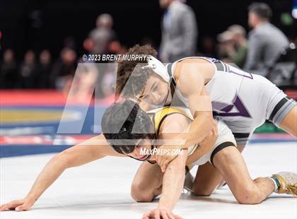 Thumbnail 1 in CHSAA State Championship - 4A Finals photogallery.