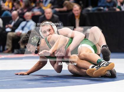 Thumbnail 1 in CHSAA State Championship - 4A Finals photogallery.
