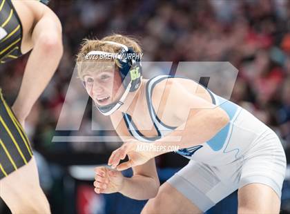 Thumbnail 2 in CHSAA State Championship - 4A Finals photogallery.