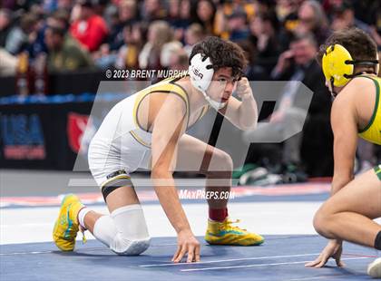 Thumbnail 1 in CHSAA State Championship - 4A Finals photogallery.
