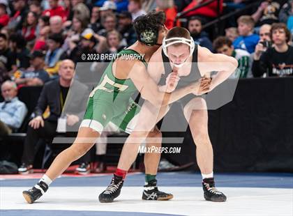 Thumbnail 1 in CHSAA State Championship - 4A Finals photogallery.