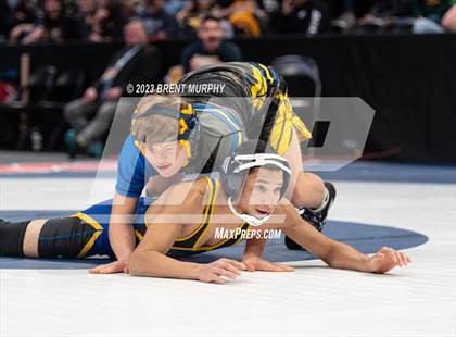 Thumbnail 1 in CHSAA State Championship - 4A Finals photogallery.