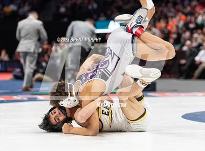 Thumbnail 2 in CHSAA State Championship - 4A Finals photogallery.