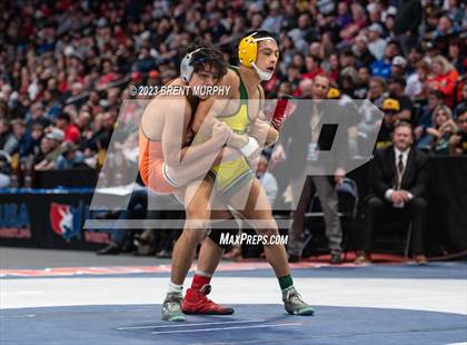 Thumbnail 1 in CHSAA State Championship - 4A Finals photogallery.