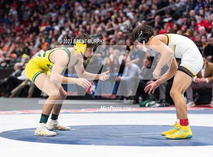 Thumbnail 1 in CHSAA State Championship - 4A Finals photogallery.