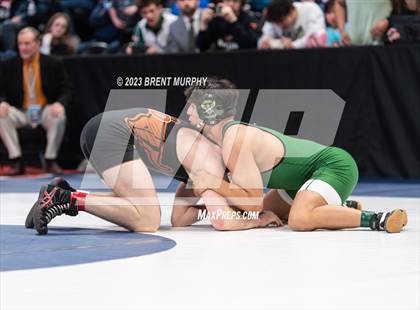 Thumbnail 1 in CHSAA State Championship - 4A Finals photogallery.