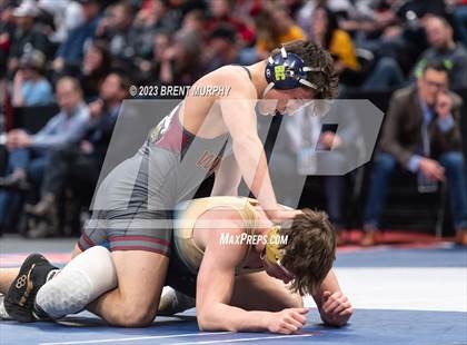 Thumbnail 1 in CHSAA State Championship - 4A Finals photogallery.