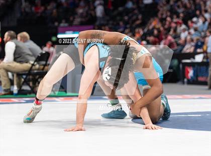 Thumbnail 1 in CHSAA State Championship - 4A Finals photogallery.