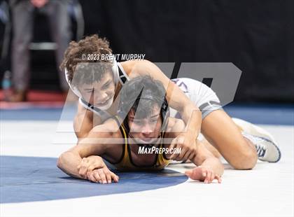 Thumbnail 3 in CHSAA State Championship - 4A Finals photogallery.