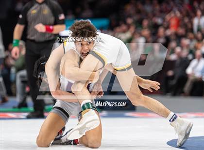 Thumbnail 1 in CHSAA State Championship - 4A Finals photogallery.