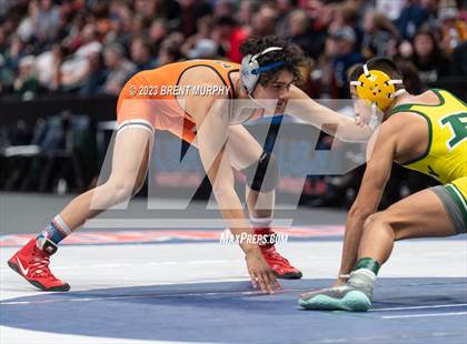Thumbnail 1 in CHSAA State Championship - 4A Finals photogallery.