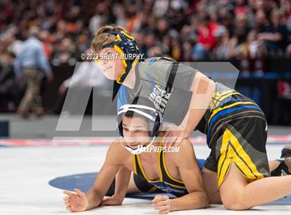Thumbnail 1 in CHSAA State Championship - 4A Finals photogallery.