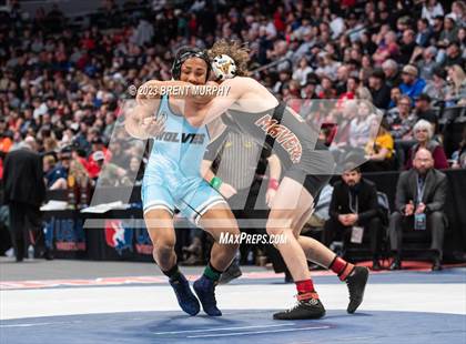 Thumbnail 3 in CHSAA State Championship - 4A Finals photogallery.